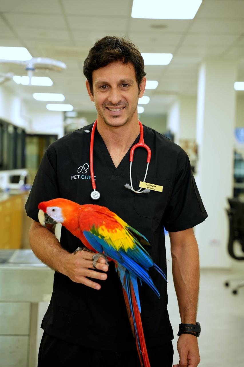Dr. Javier Planas - Veterinarian